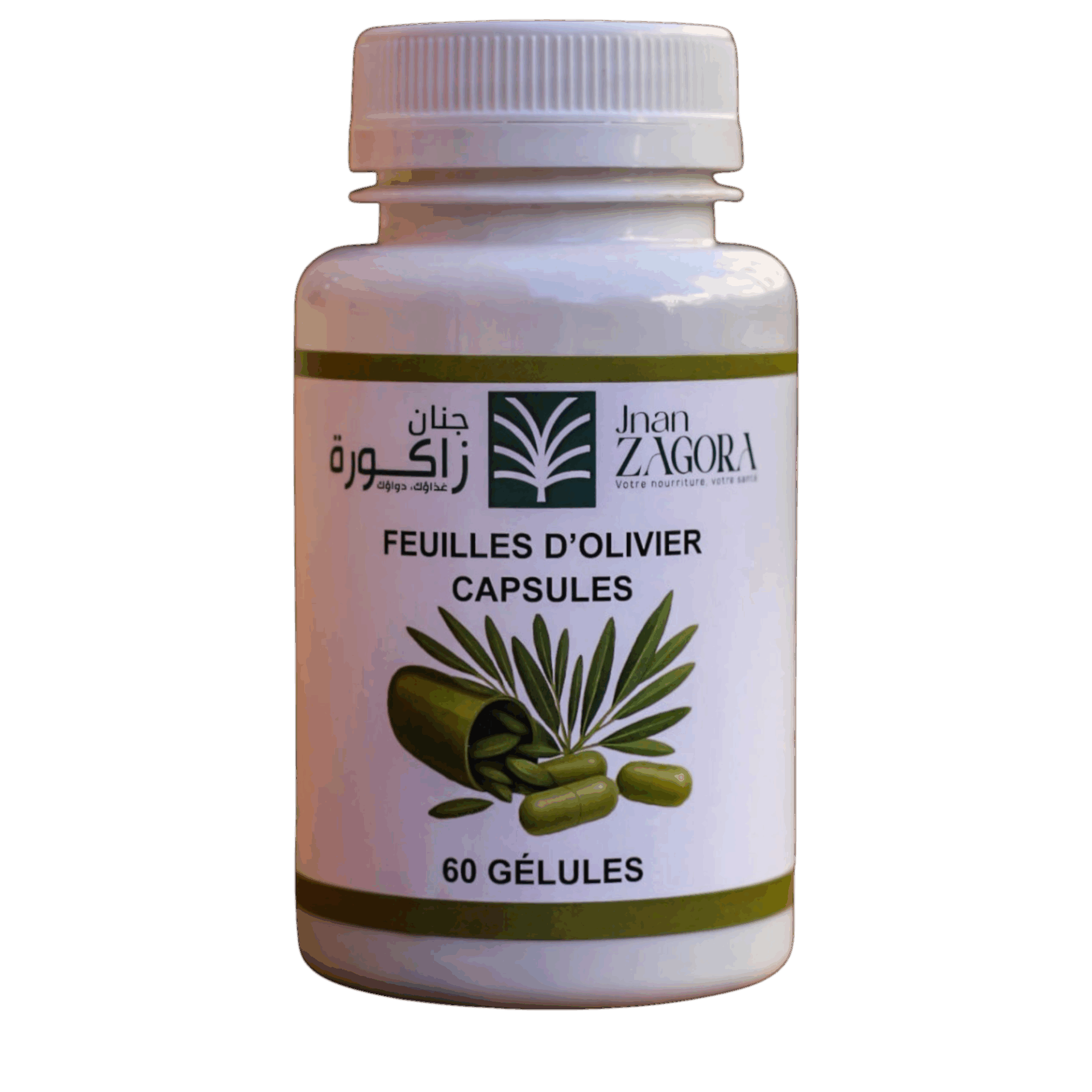 Gélules de Feuilles d’Olivier